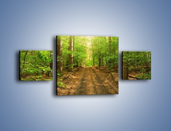 Obraz na płótnie – Leśną drogą jak z filmu – trzyczęściowy KN324W4