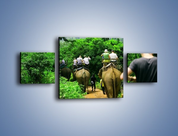 Obraz na płótnie – Podróż na słoniu – trzyczęściowy KN414W4