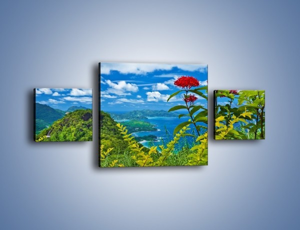 Obraz na płótnie – Bordowe kwiaty w górskim krajobrazie – trzyczęściowy KN561W4