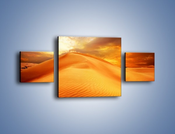 Obraz na płótnie – Spokojny oddech w pustynnym klimacie – trzyczęściowy KN567W4