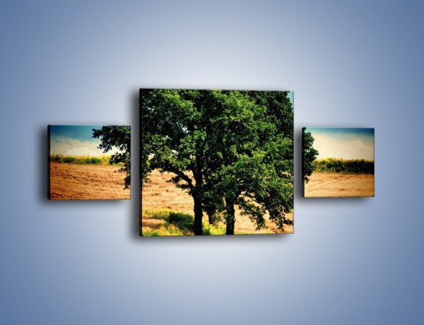 Obraz na płótnie – Para zaprzyjaźnionych drzew – trzyczęściowy KN571W4