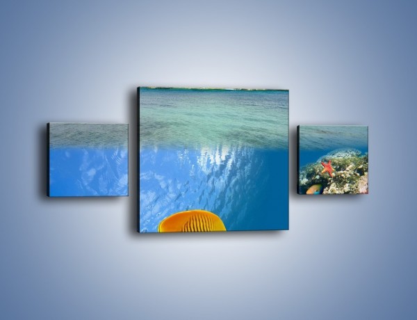 Obraz na płótnie – Podwodny świat na wyspie – trzyczęściowy KN586W4