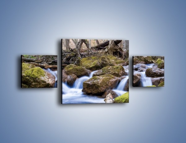 Obraz na płótnie – Rwący potok w chłodny dzień – trzyczęściowy KN676W4