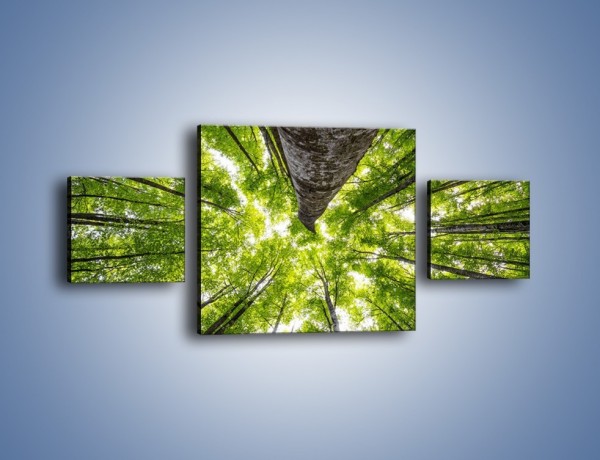 Obraz na płótnie – Świat widziany zielenią – trzyczęściowy KN931W4