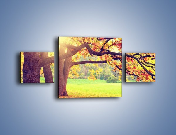 Obraz na płótnie – Jesienią w parku też jest pięknie – trzyczęściowy KN967W4