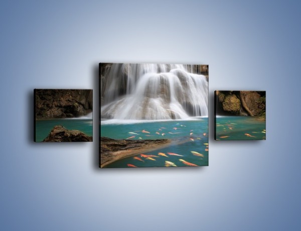Obraz na płótnie – Wodospad i kolorowe rybki – trzyczęściowy KN994W4