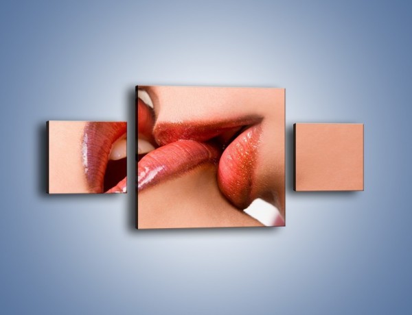 Obraz na płótnie – Krwisty pocałunek – trzyczęściowy L111W4