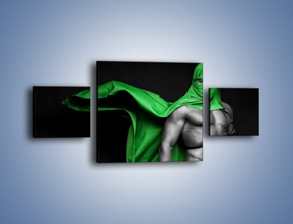 Obraz na płótnie – Zielony ninja – trzyczęściowy L245W4