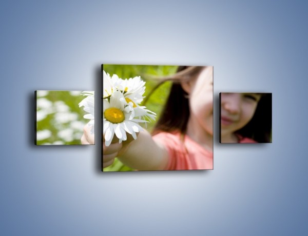 Obraz na płótnie – Kwiatki od małej dziewczynki – trzyczęściowy L255W4