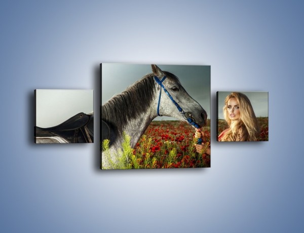 Obraz na płótnie – Kobieta koń i polana maków – trzyczęściowy L333W4