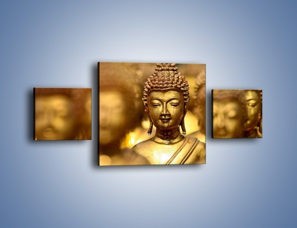 Obraz na płótnie – Złote buddy w słońcu – trzyczęściowy O111W4