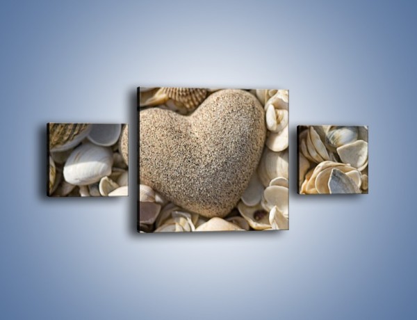 Obraz na płótnie – Miłość do muszli i morza – trzyczęściowy O132W4