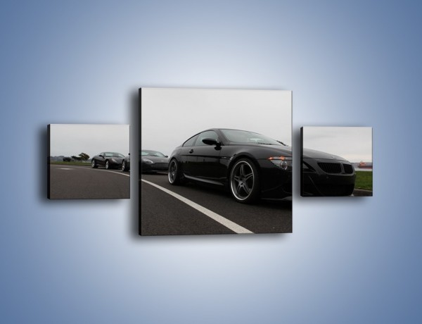Obraz na płótnie – Luksusowe samochody na drodze – trzyczęściowy TM179W4