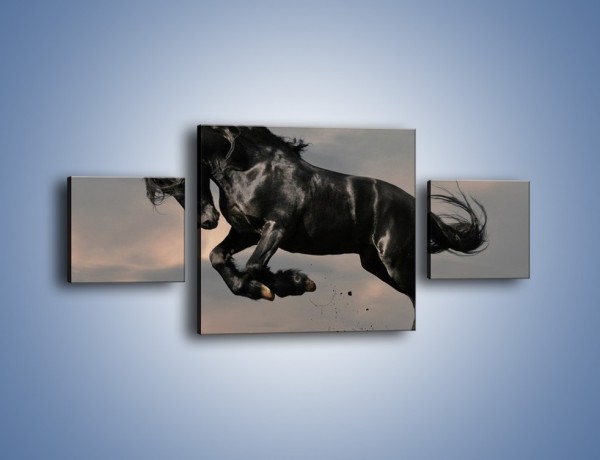 Obraz na płótnie – Niespokojny dziki koń – trzyczęściowy Z001W4
