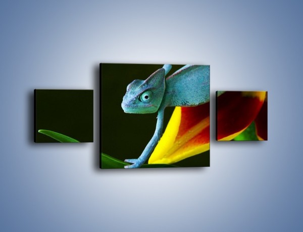 Obraz na płótnie – Liść w łapce kameleona – trzyczęściowy Z005W4