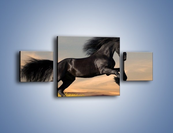 Obraz na płótnie – Czarny koń w galopie – trzyczęściowy Z008W4