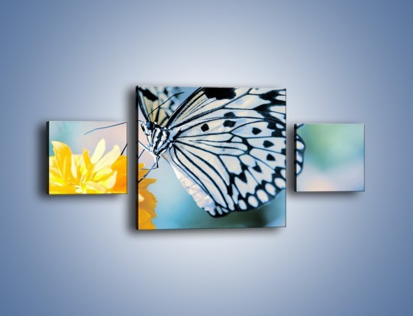 Obraz na płótnie – Motyw zebry w motylu – trzyczęściowy Z010W4