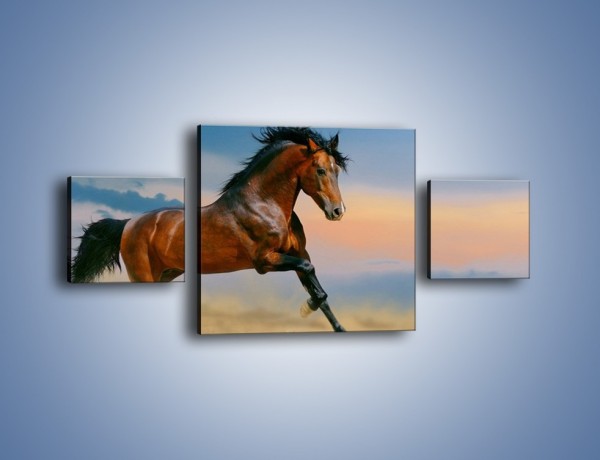 Obraz na płótnie – Brązowy koń na pustyni – trzyczęściowy Z011W4