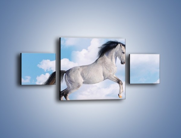 Obraz na płótnie – Białe obłoki i koń – trzyczęściowy Z019W4
