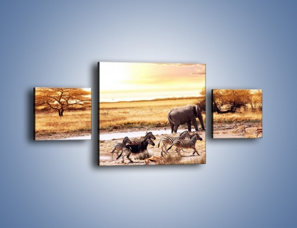 Obraz na płótnie – Zwierzęce stada na sawannie – trzyczęściowy Z028W4