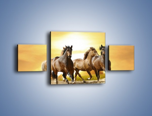 Obraz na płótnie – Rozpędzone konne stado – trzyczęściowy Z030W4