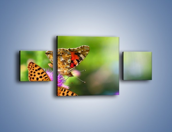 Obraz na płótnie – Świat kolorowych motyli – trzyczęściowy Z053W4