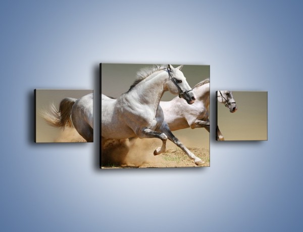 Obraz na płótnie – Białe konie w pustynnym galopie – trzyczęściowy Z055W4