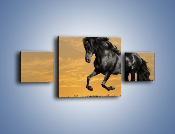 Obraz na płótnie – Bieg z koniem po polanie – trzyczęściowy Z057W4