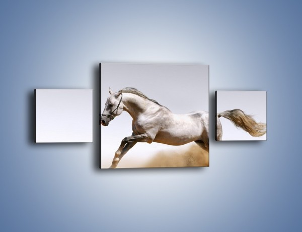 Obraz na płótnie – Srebrny koń w galopie – trzyczęściowy Z062W4