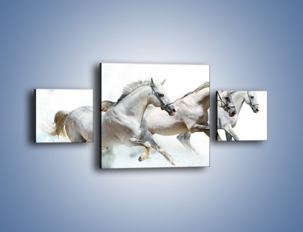 Obraz na płótnie – Końskie trio w zimowym pędzie – trzyczęściowy Z063W4