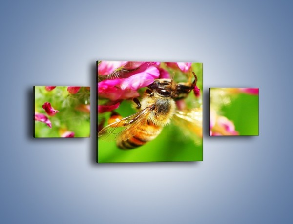 Obraz na płótnie – Pszczoły kochają kwiaty – trzyczęściowy Z065W4