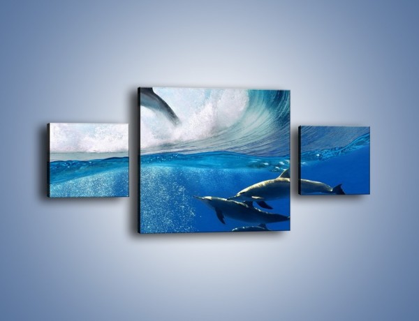 Obraz na płótnie – Z delfinami przez falę – trzyczęściowy Z073W4