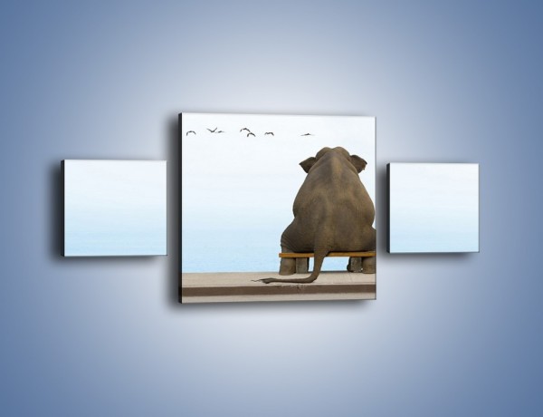 Obraz na płótnie – Przemyślenia słonia w samotności – trzyczęściowy Z120W4