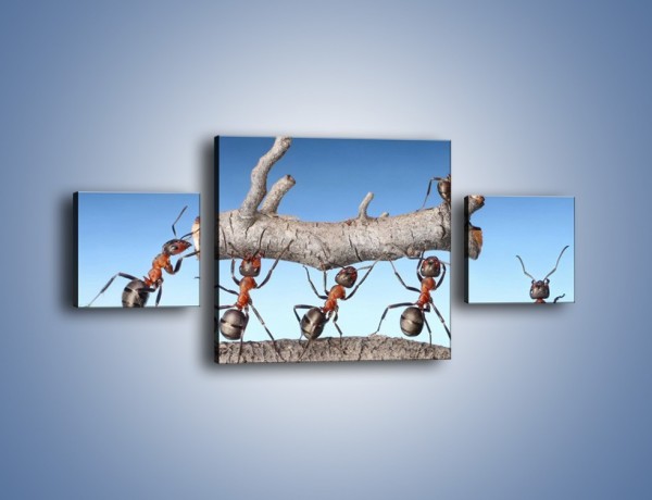 Obraz na płótnie – Pracowite jak mróweczki – trzyczęściowy Z133W4
