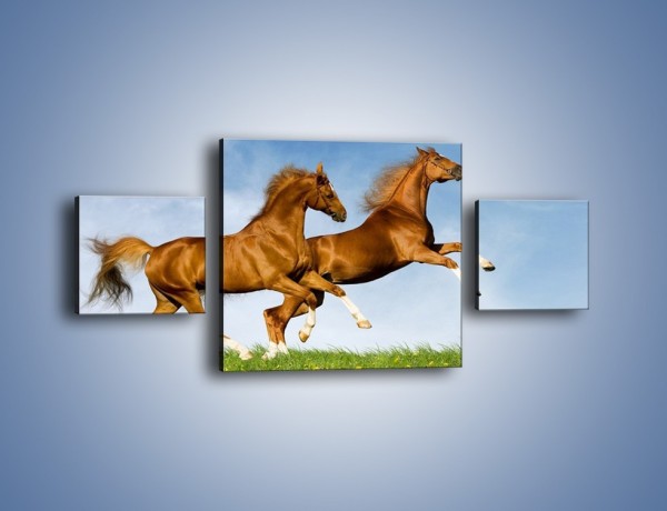 Obraz na płótnie – Skok przez pole z końmi – trzyczęściowy Z147W4