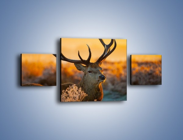 Obraz na płótnie – Ciężkie poroże jelenia – trzyczęściowy Z165W4