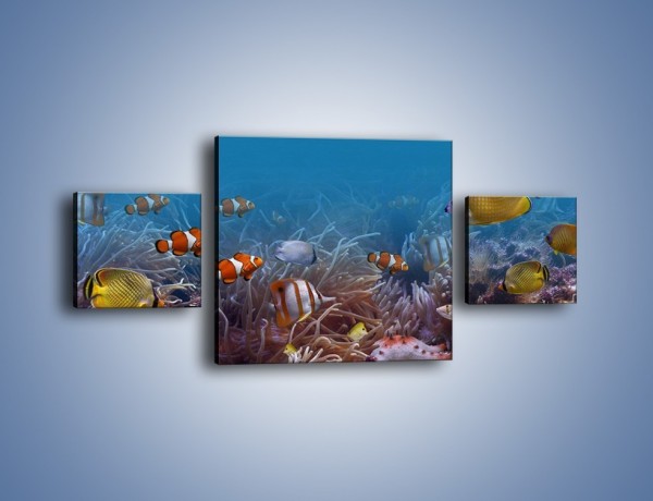 Obraz na płótnie – Ocean i jego kolorowi towarzysze – trzyczęściowy Z168W4