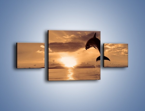 Obraz na płótnie – Z delfinem w stronę zachodzącego słońca – trzyczęściowy Z170W4