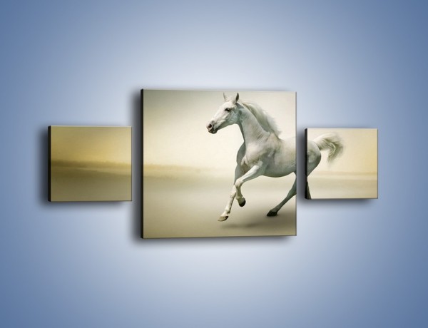 Obraz na płótnie – Samotny wieczór z białym koniem – trzyczęściowy Z175W4