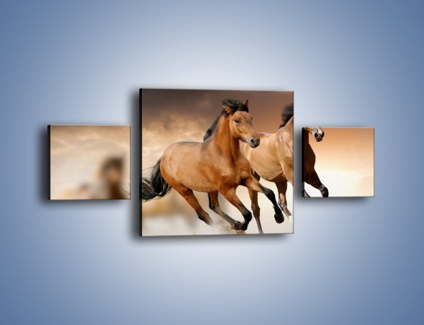 Obraz na płótnie – Uciec na koniu przed burzą – trzyczęściowy Z180W4