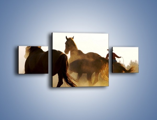 Obraz na płótnie – Cowboy wśród koni – trzyczęściowy Z206W4