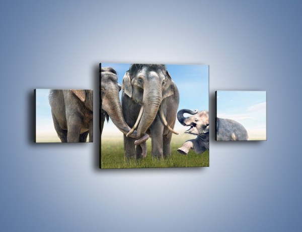 Obraz na płótnie – Przebij łapę ze słoniątkiem – trzyczęściowy Z208W4
