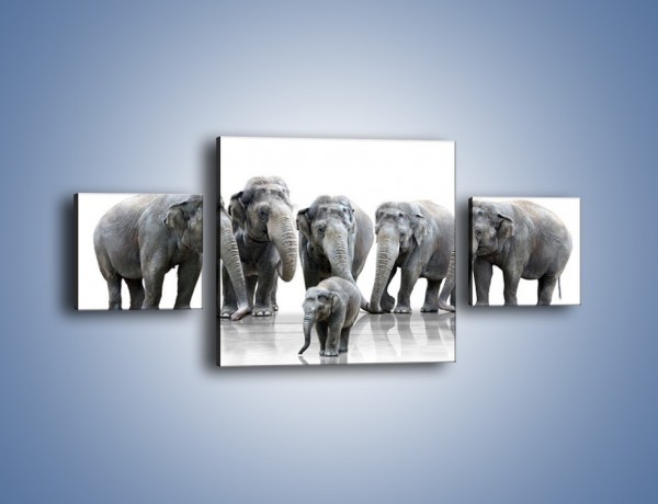 Obraz na płótnie – Na przyjęciu u słoniątka – trzyczęściowy Z209W4
