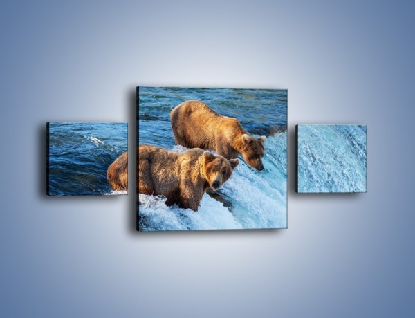 Obraz na płótnie – Niedźwiedzie na zjeżdżalni – trzyczęściowy Z213W4