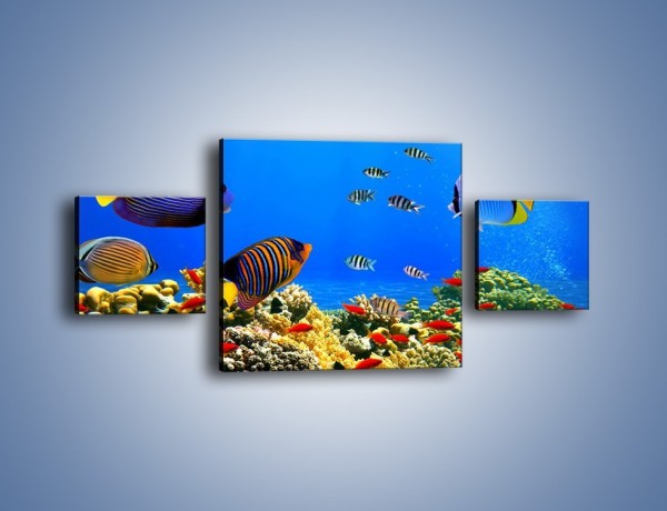 Obraz na płótnie – Kolory tęczy pod wodą – trzyczęściowy Z220W4