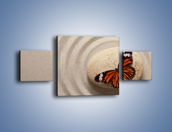 Obraz na płótnie – Spoczynek motyla na kamieniu – trzyczęściowy Z224W4
