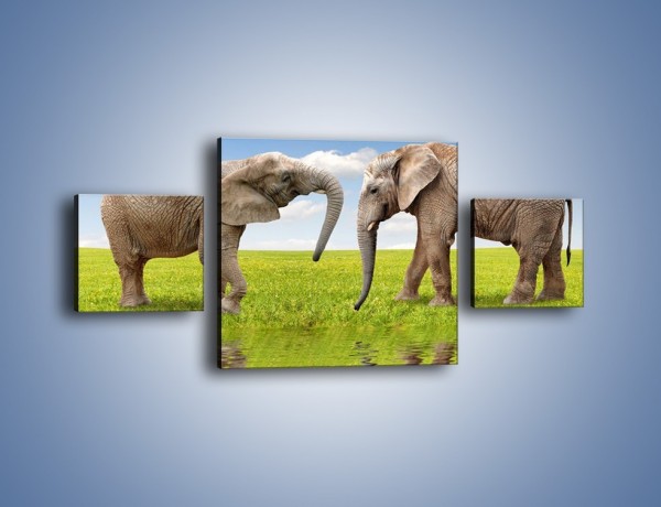 Obraz na płótnie – Poważne rozmowy słoni – trzyczęściowy Z228W4