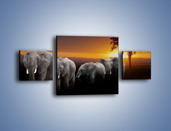 Obraz na płótnie – Powrót słoni do domu – trzyczęściowy Z229W4