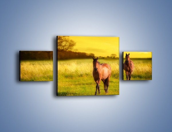 Obraz na płótnie – Polana i konie – trzyczęściowy Z230W4