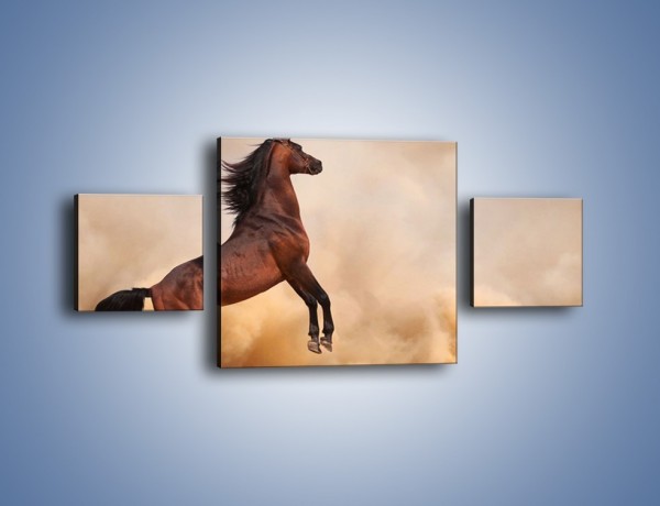 Obraz na płótnie – Koń na warcie – trzyczęściowy Z234W4